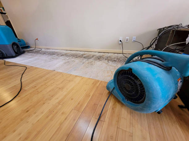Professional Basement Flood Cleanup technician working in Edgewater, CO